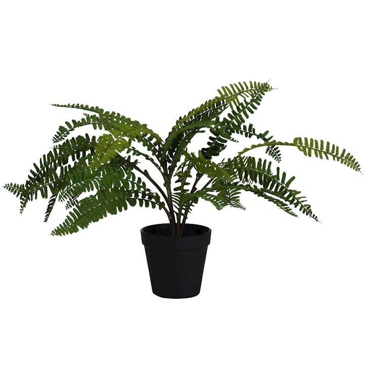 POTTED FERN 44cm