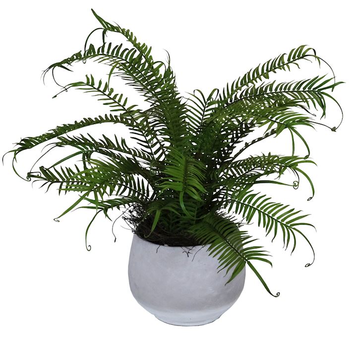 POTTED FERN 52cm