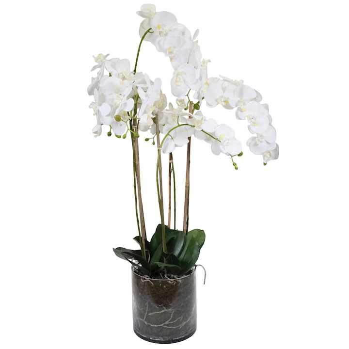 LARGE TALL WHITE ORCHID IN GLASS POT 25x25x120cm
