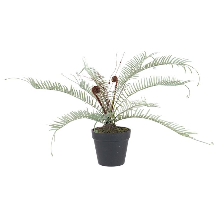 POTTED FERN 45cm