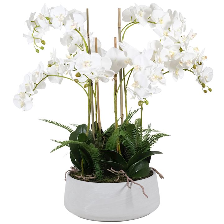 LARGE ORCHID WITH FERNS IN STONE POT 34x34x78cm