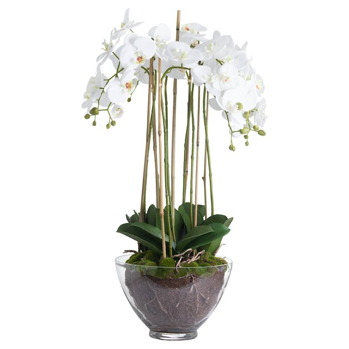 LARGE WHITE ORCHID IN GLASS POT 35x35x88cm