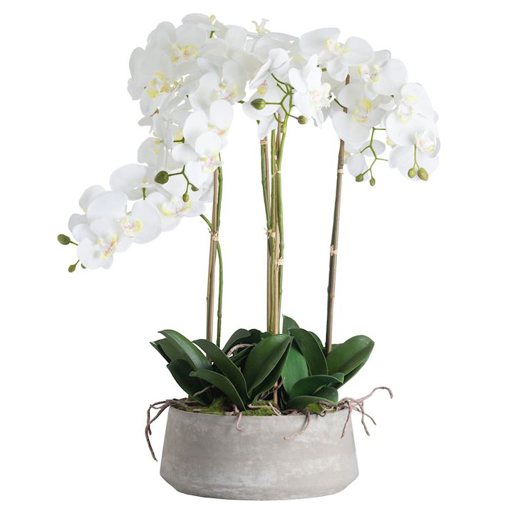 LARGE WHITE ORCHID IN STONE POT 30x30x90cm