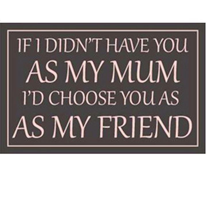 MUM AND FRIEND PLAQUE 25x16cm