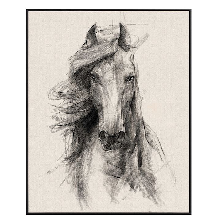 FRAMED HORSE PICTURE 80x100cm