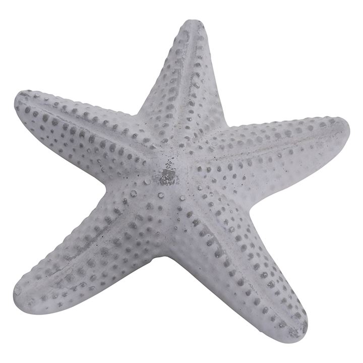 SMALL STARFISH 18x17x4cm