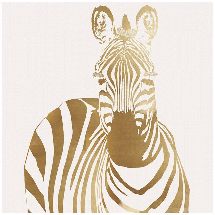 FRAMED ZEBRA CANVAS  60x60xm