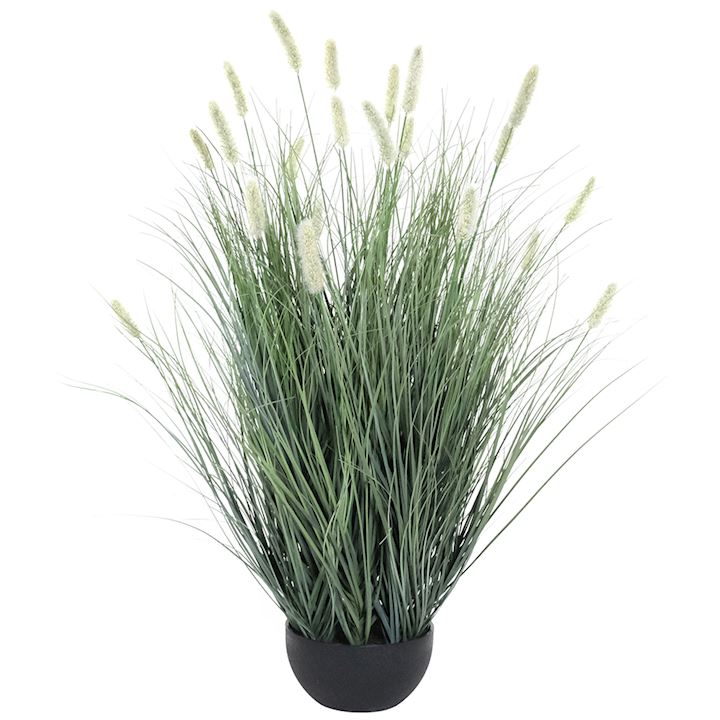 MATSUTAKE ONION GRASS BONSAI 90cm