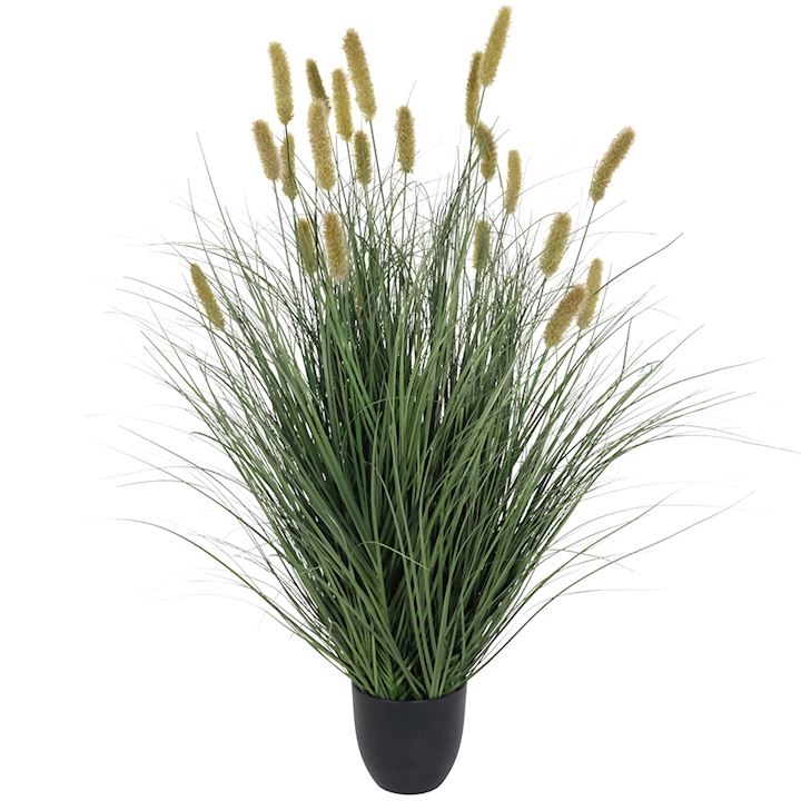 CATTAIL ONION GRASS BONSAI 90cm