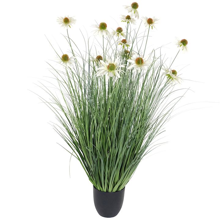 CHRYSANTHEMUM ONION GRASS BONSAI 90cm