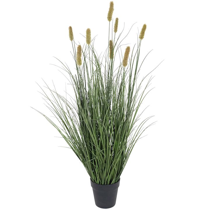 CATTAIL ONION GRASS BONSAI 90cm
