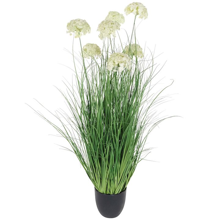 HYDRANGEA ONION GRASS BONSAI 90cm