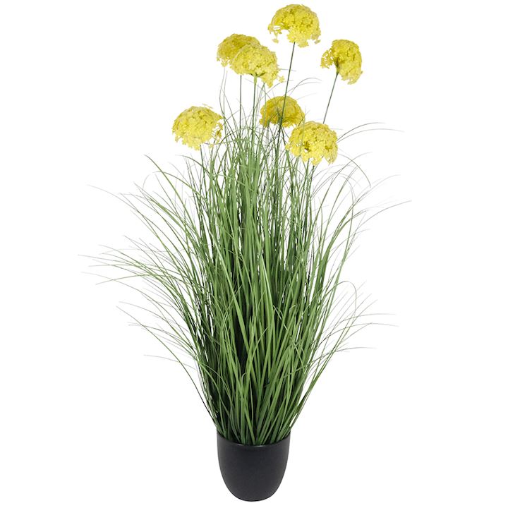 HYDRANGEA ONION GRASS BONSAI 90cm