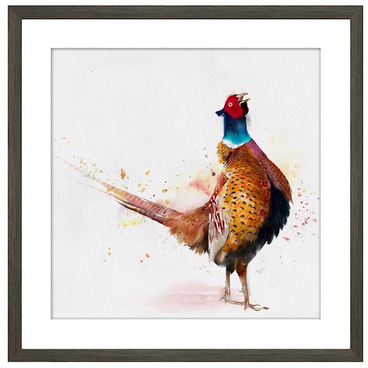 STANDING PHEASANT FRAMED PICTURE 50X50cm