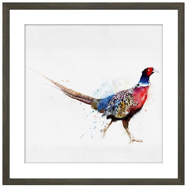 WALKING PHEASANT FRAMED PICTURE 50X50cm