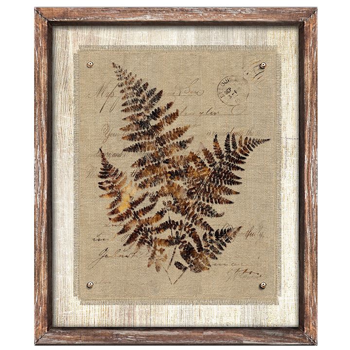 FRAMED FERN 