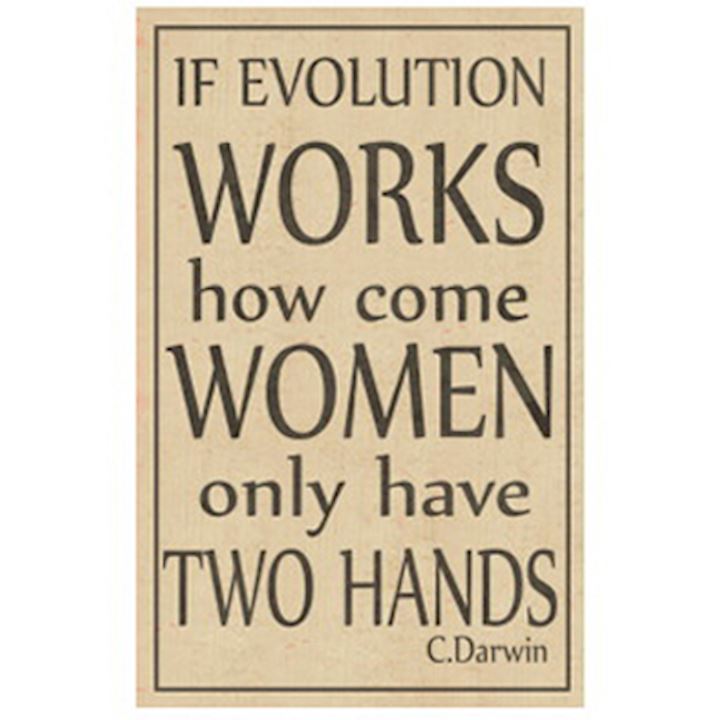 EVOLUTION PLAQUE 16x25cm