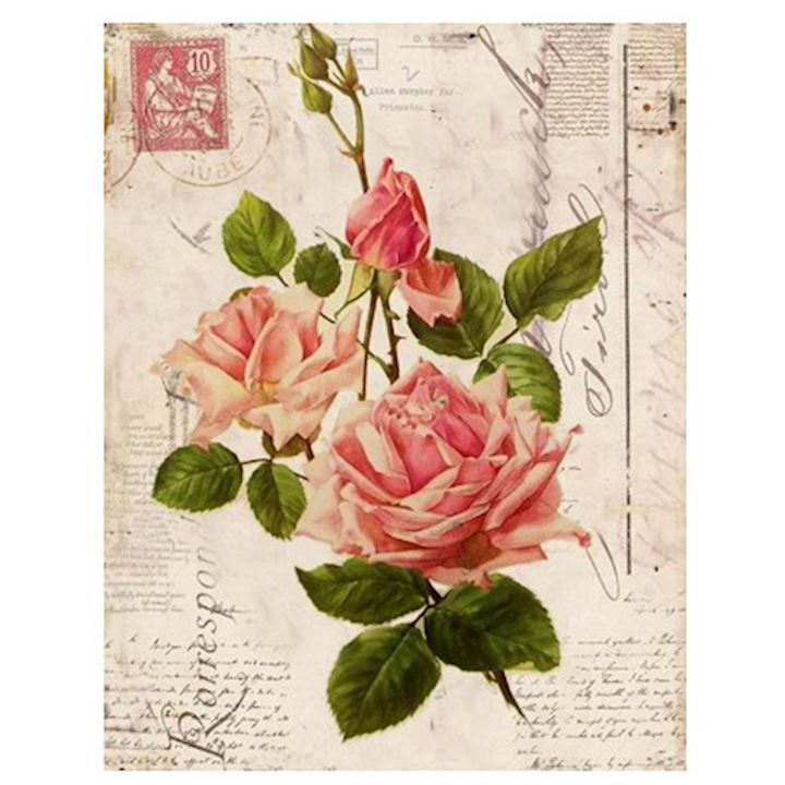 SPECIAL...PINK ROSE B