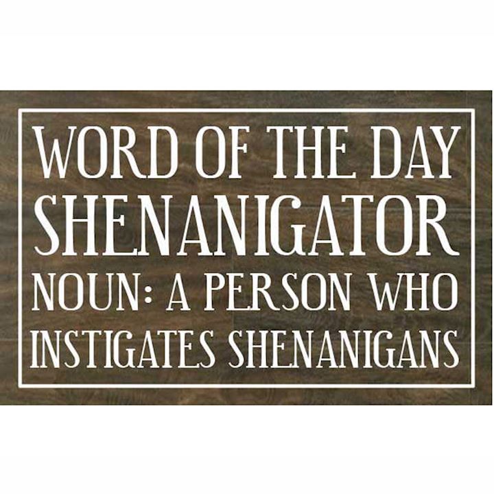 SHENANIGATOR PLAQUE/ROPE 24x15cm