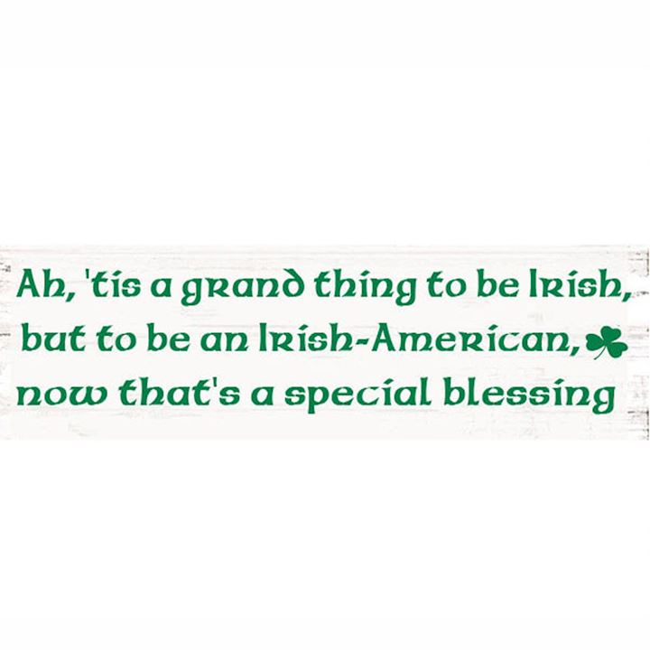 IRISH AMERICAN PLAQUE/ROPE 30X10cm